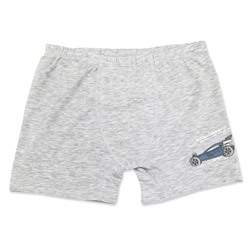 3662 Боксеры для мальчиков многоцвет (BAYKAR)