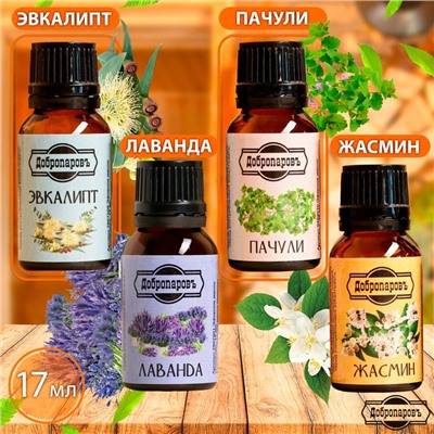 Эфирное масло жасмин, пачули, лаванда, эвкалипт, набор 4 шт по 17 мл + полочка для масел