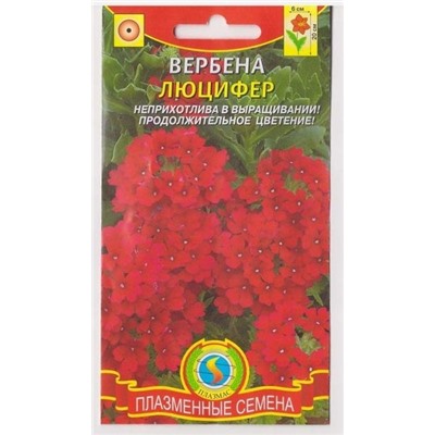 Вербена Люцифер  (Код: 75143)