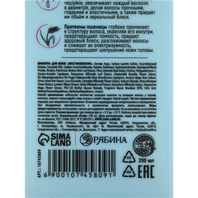 Подарочный набор «Восстановление»: шампунь 250 мл, бальзам 250 мл, URAL LAB