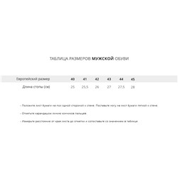 Кроссовки New Balance FuelCell RC Elite v2