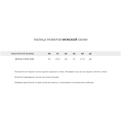 Кроссовки New Balance FuelCell RC Elite v2