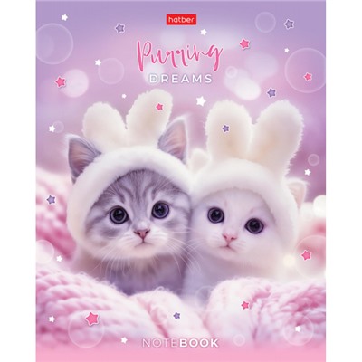 Тетрадь  48л клетка пластиковая обложка 300мкм "Нежные мечты" (092369) Хатбер
