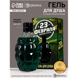 Гель для душа мужской «С 23 Февраля!», 250 мл, аромат океана, HARD LINE
