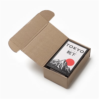 Носки мужские KAFTAN Tokyo, р. 41-44 (27-29 см), набор 2 пары