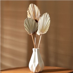 Сухие цветы «Лист пальмовый», 52×14×2 см