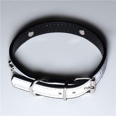 Ошейник «Пижон» с косточками, светоотражающий, 37×1.3 см, ОШ 26-33, чёрный
