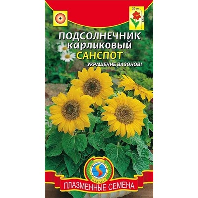 Подсолнечник Санспот (Код: 91094)