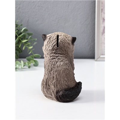 Копилка для денег «Котенок Васька сиамский», гипс, 16 см