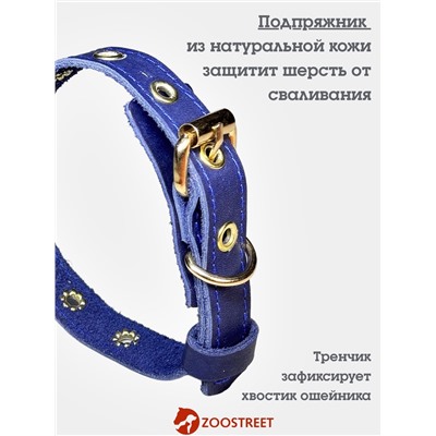 Ошейник безразмерный, 40×2 см, с подпряжником, кожа, синий