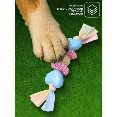 Игрушка жевательная Пижон Premium на верёвке, 5 элементов, термопластичная резина, МИКС