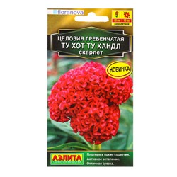Семена цветов Целозия гребенчатая Ту хот ту хандл скарлет  С. Floranova , Ц/П,5 шт.
