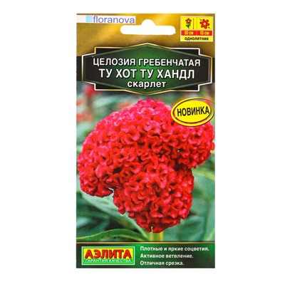 Семена цветов Целозия гребенчатая Ту хот ту хандл скарлет  С. Floranova , Ц/П,5 шт.