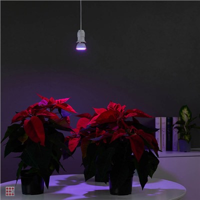 Лампочка для растений, 5x5.4см, 80LED (52R+28B), Е27, 3.6Вт, PC