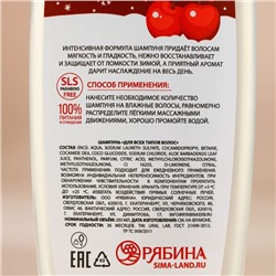 Подарочный набор «Мечты сбудутся», гель для душа и шампунь для волос, 2×250 мл, URAL LAB