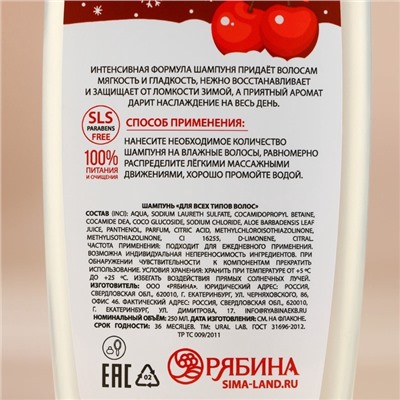Подарочный набор «Мечты сбудутся», гель для душа и шампунь для волос, 2×250 мл, URAL LAB