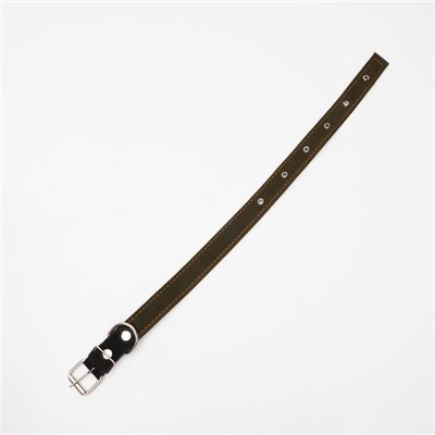 Ошейник брезентовый двухслойный, 62×3 см, ОШ 30-55 см, тёмно-зелёный