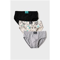 Трусы трикотажные для мальчиков - брифы, 3 шт в комплекте PLAYTODAY, 1243503