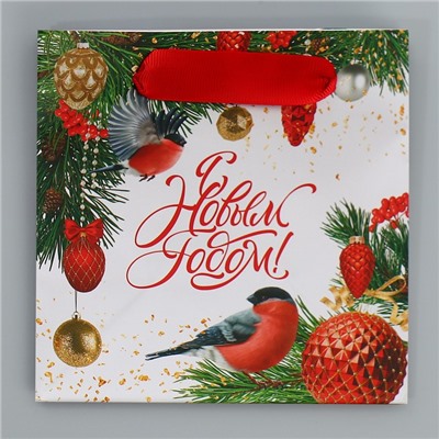 Пакет подарочный новогодний ламинированный квадратный «Яркие краски», 14×14×9 см