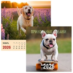 Календарь перекидной настенный на спирали 2026 г. 320х320 мм 6л "Прикольные собаки" КПКС2610 Эксмо