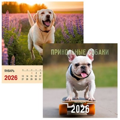 Календарь перекидной настенный на спирали 2026 г. 320х320 мм 6л "Прикольные собаки" КПКС2610 Эксмо