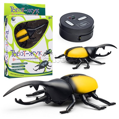 Жук в коробке