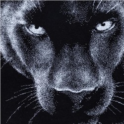 Полотенце махровое Этель «Пантера» 70×130 см, 100% хлопок, 420 г/м², чёрно-белое