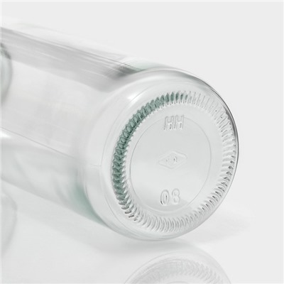 Бутылка для воды в чехле «Гусь», 300 мл, 6×17 мл