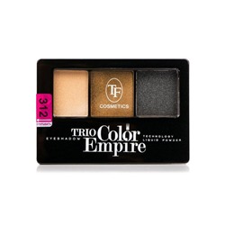 Тени для век TF Trio Color Empire, тон 312 золотой смоки