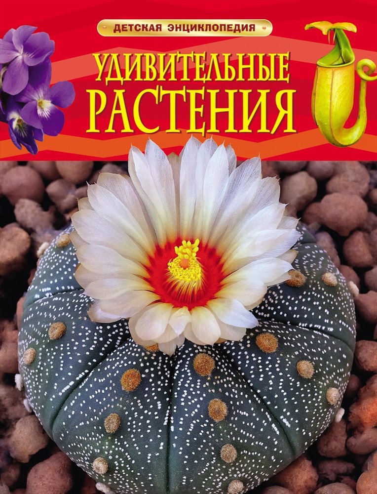 Энциклопедия растений с картинками