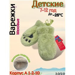 Детские варежки 1831903-3