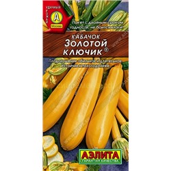 Кабачок Золотой ключик (Аэлита)