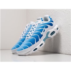 Кроссовки Nike Air Max Plus TN