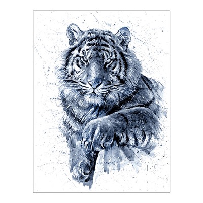 Холст с красками 40х50 по номерам "Чёрно-белый тигр" (16 цв.)
