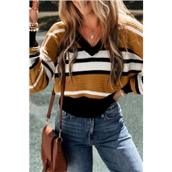 Brown Stripe Contrast Stripes V Neck Textured Knit Sweater