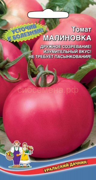 Сорт томата малиновка фото и описание