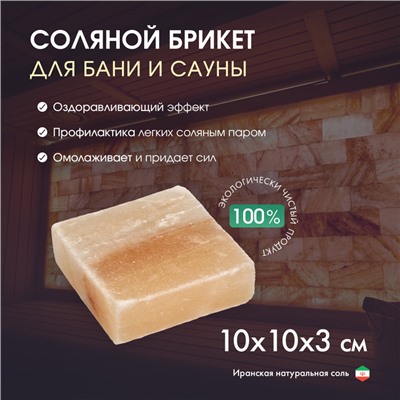 Кирпич из иранской горной соли, 10х10х3 см, цвет микс