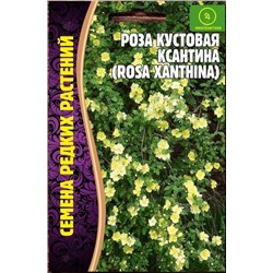 Роза кустовая Ксантина (Редкие)