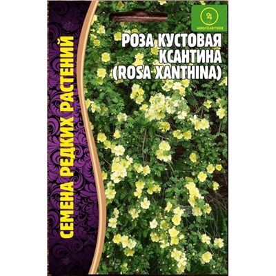 Роза кустовая Ксантина (Редкие)