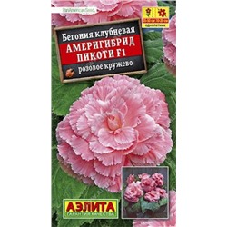 Бегония Америгибрид Пикоти Розовое кружево F1 (Код: 86001)