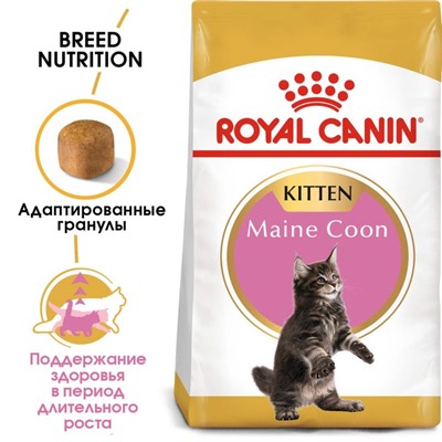 Сухой корм RC Kitten Maine Coon для котят крупных пород, 10 кг