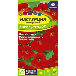 Настурция Король Теодор Сем.Алтая