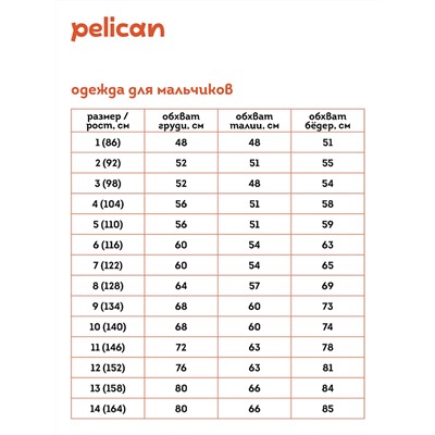 BFXK3363U (Толстовка для мальчика, Pelican )