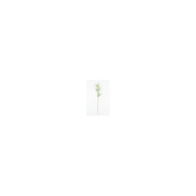 Искусственные цветы, Ветка аспарагус (1010237) зеленый