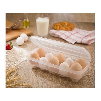 Контейнер для яиц с крышкой на 10 штук (27*12*7см), иран. пластик