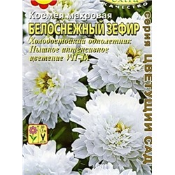 Космея Белоснежный зефир махровая (Аэлита)