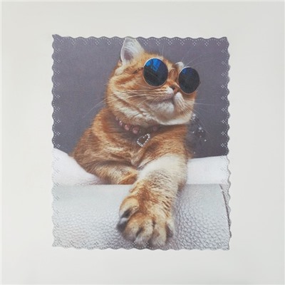 Салфетка для очков TAO9 «Кот в очках» 15×18 см, цвет бежевый