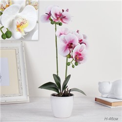 Цветочная композиция Орхидея 46 см / LM-17266 /уп 36/