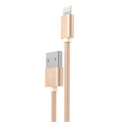 Кабель USB - Apple lightning Hoco X2 Rapid (повр. уп)  100см 2A  (gold)
