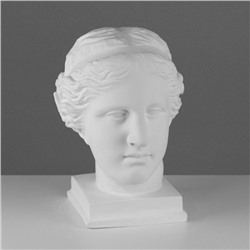 Гипсовая фигура Голова Венеры Милосской, 22 х 32 х 35 см